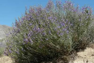 Vand apartament in Oradea - 2