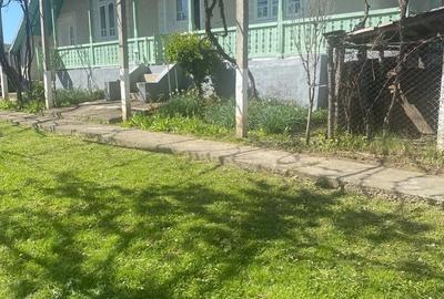 Casă cu Teren 1363 Mp în Siliștea - 6