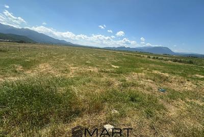 Teren Construcții intravilan de 7500 mp, în Râșnov - 2