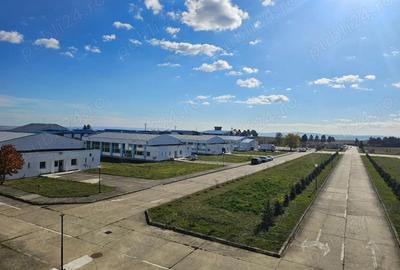 Hala industriala de inchiriat - 2