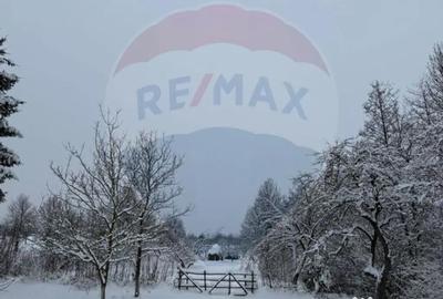 Teren de 4193 mp, în Breb - 7