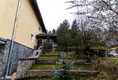 Resedinta cu atmosfera familiara,peisaj imersiv,amplasare pr - 7