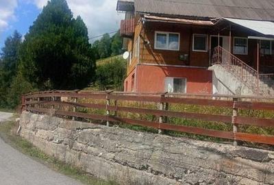 Teren de 10000 mp, în Albac - 4