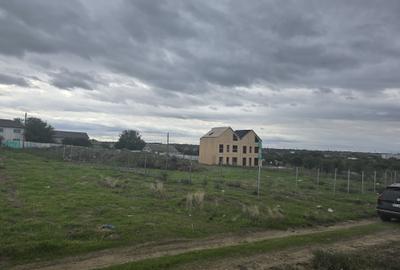 Anunturi vanzari terenuri in Palazu Mare - 8