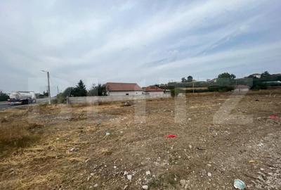 Teren 4046 mp in Racari cu deschidere de 28 ml la drumul eur - 1