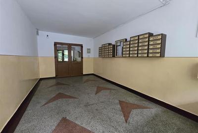 Apartament cu 2 camere semidecomandat în Tătărași - 9