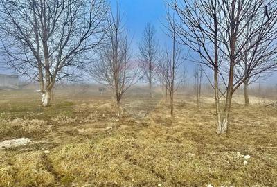 Teren în Turturești