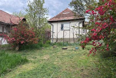 Casă cu 3 camere în Cozma - 8