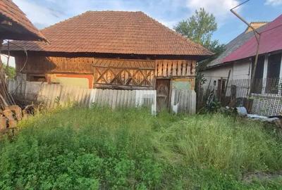 Casă cu 2 camere cu Teren 3000 Mp în Bârgău - 6