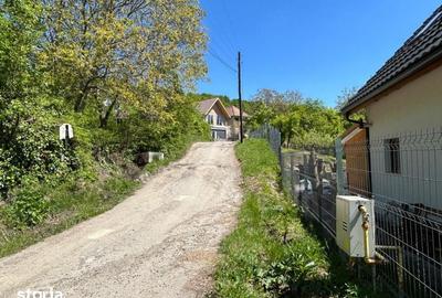 Teren de 4300 mp, în Baciu