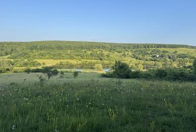 Spațiu comercial, în Sadu - 2
