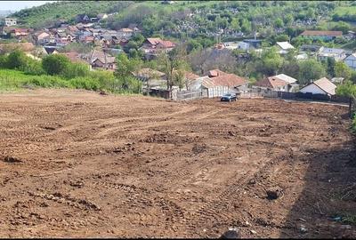 Teren de 1300 mp, în Bucovăț - 4