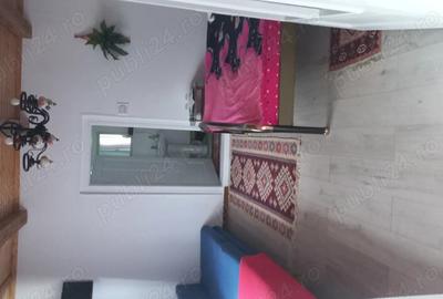 Casa de vanzare in sat Sarbi com.Budesti.Traieste linistea satului autentic maramuresan! - 13