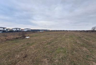 Teren Construcții intravilan de 809 mp, în Corbeanca - 4