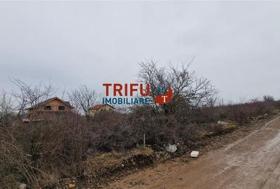 Teren de 510 mp, în Central