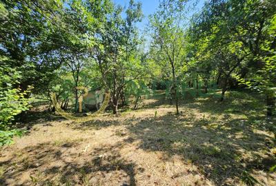 Casă Nucet, 864 mp teren cu pomi fructiferi – la 21 km de Sibiu - 3