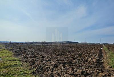 Teren de 2727 mp, în Moara Vlăsiei - 4