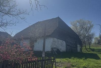 Casă cu 3 camere în Urmeniș - 7