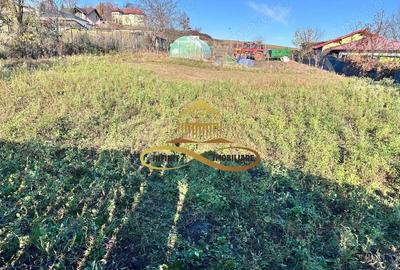 De vanzare casa,Fantanele,Bacau - 2