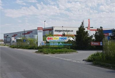 Teren Industrial 3 HECTARE Str Rudeni cu deschidere 50 ML - 5