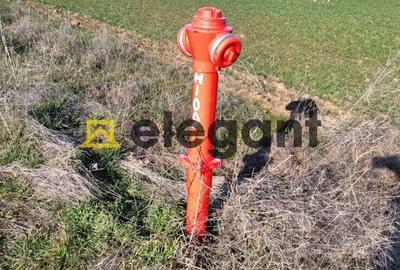 Teren 1.500 mp, deschidere 15 ml, Carcea in apropiere de VEROTHERM VILLAS - 6