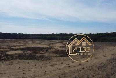 Pipera-Oxford-Padurea Baneasa, intravilan 3700mp Pipera-Oxford-Padurea Baneasa, intravilan 3700mp - 11