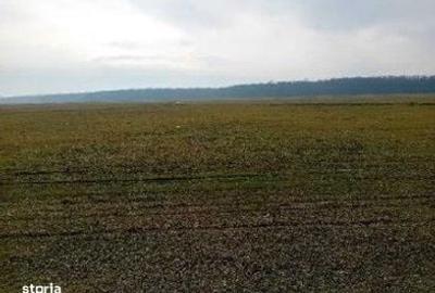 Spațiu comercial, în Ciobani - 3