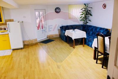 Casă / Vilă cu 6 camere de vânzare în zona Oncea - 14