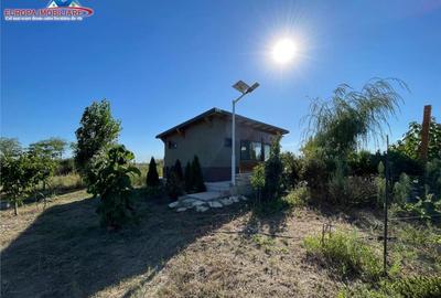 Teren de in localitatea Cataloi Tulcea - 9