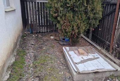 Casă cu 1 camere decomandat în Lumina - 2