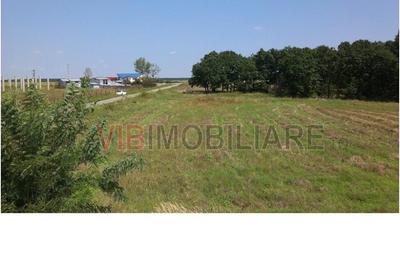 Teren de 17400 mp, în Brazda lui Novac - 1