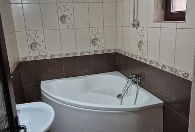 Casa de vanzare in Seaca Calimanesti la drum DN 7(E 81) - 2