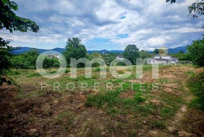 Teren Construcții intravilan de 2500 mp, în Vest - 1