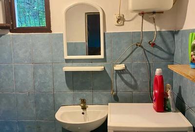 Casă cu 4 camere cu Teren 2215 Mp în Uileacu de Munte - 7