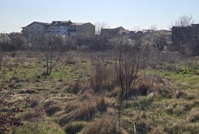 Vanzari terenuri in zona Steaua de Mare   Eforie Nord