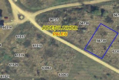 Spațiu comercial, în Săldăbagiu de Munte - 2