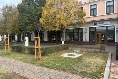 Spațiu comercial, în Jimbolia - 2