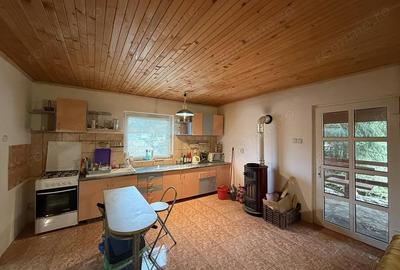 Casă cu Teren 1400 Mp în Bulz - 3