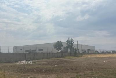 Teren de 5000 mp, în Pielești - 3