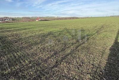 Teren de 14400 mp, în Aroneanu - 2