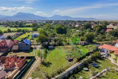 Teren intravilan generos de 1.430 mp in Carpini?, investi - 9