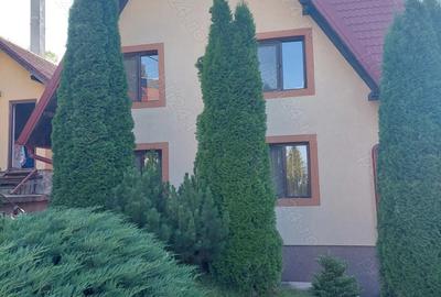 Proprietar, vind casa in Vatra Dornei - 3