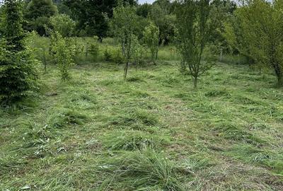 Spațiu comercial, în Vest - 2