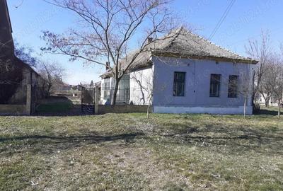 Casă cu 4 camere cu Teren 1439 Mp în Teremia Mare - 1