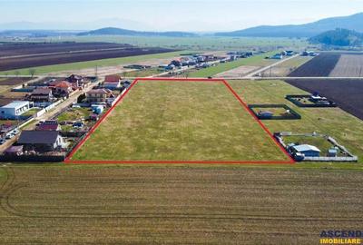 Teren intravilan 18.200mp, cu PUZ si PUD, ideal constructi case, Bod, Brasov. - 3