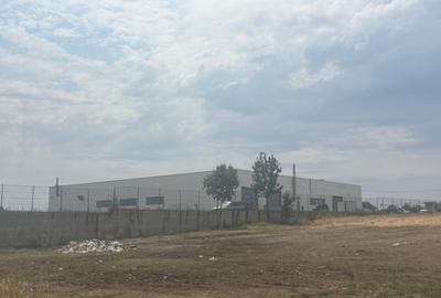 Teren extravilan 5000 mp, zona Pielesti