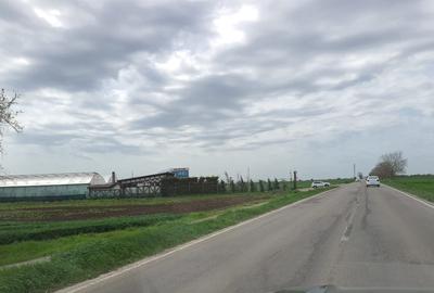 Teren Construcții intravilan de 46000 mp, în Agigea - 6