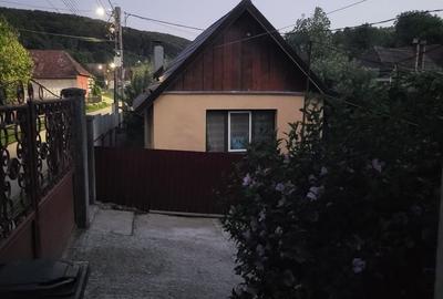 Casă cu 3 camere cu Teren 784 Mp în Izvoru Crișului - 1