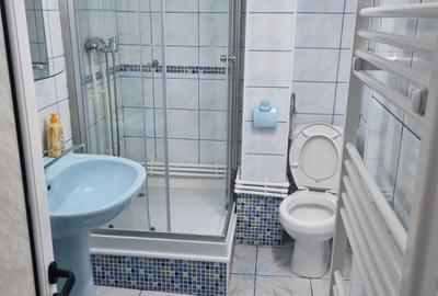 Oferta inchiriere garsoniera ultracentral, 250 euro - 6