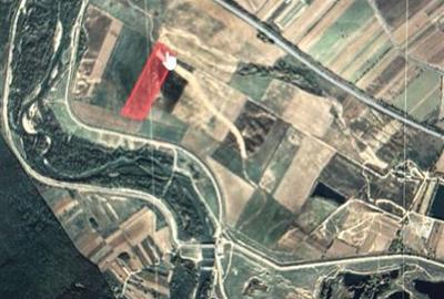 Teren agricol extravilan de 72300 mp, în Bolintin-Deal - 2